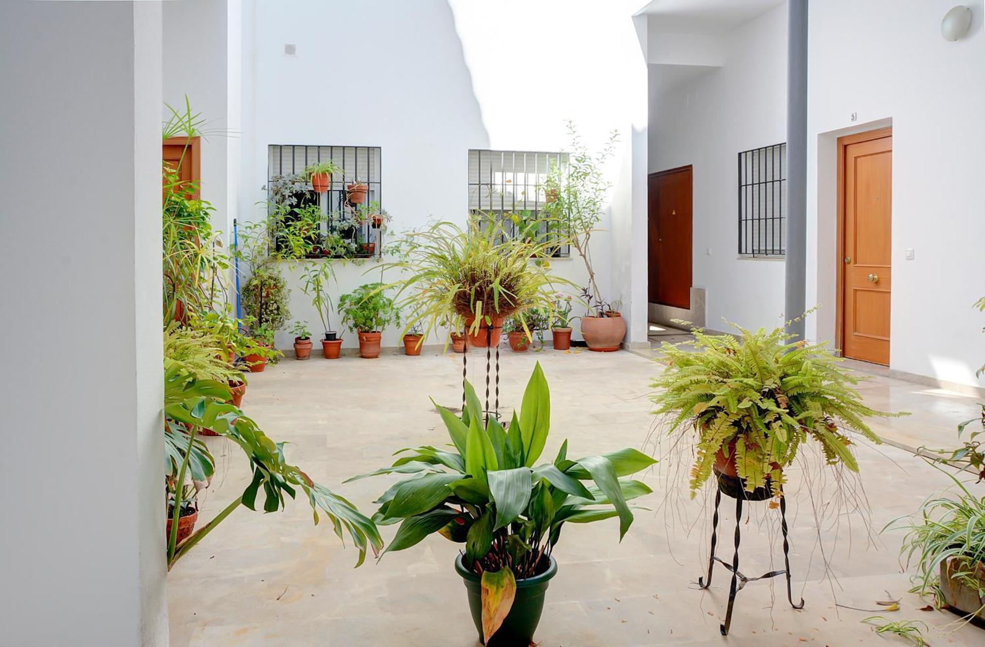 Estudio Plaza De La Encarnacion Sevilla Buitenkant foto